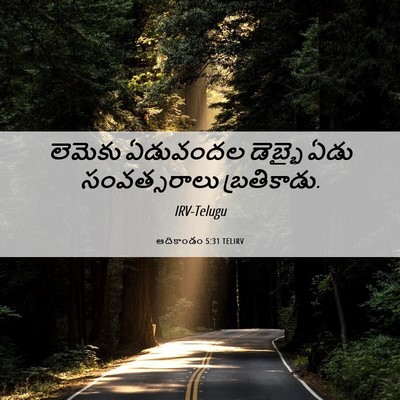Picture 06 - ఆదికాండం 5:31 TELIRV - లెమెకు ఏడువందల - Bible Verse Picture