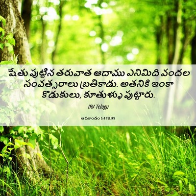 Picture 06 - ఆదికాండం 5:4 TELIRV - షేతు పుట్టిన - Bible Verse Picture