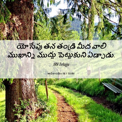 Picture 06 - ఆదికాండం 50:1 TELIRV - యోసేపు తన తండ్రి - Bible Verse Picture