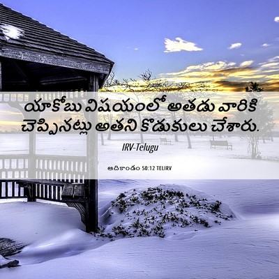 Picture 06 - ఆదికాండం 50:12 TELIRV - యాకోబు విషయంలో - Bible Verse Picture