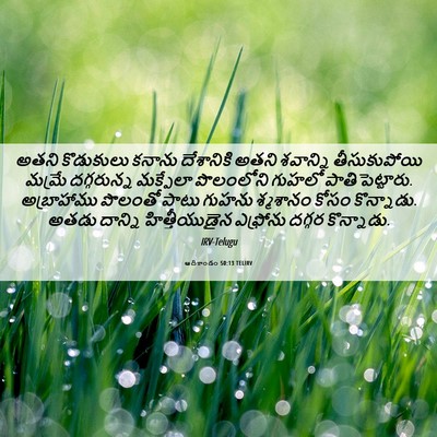 Picture 06 - ఆదికాండం 50:13 TELIRV - అతని కొడుకులు - Bible Verse Picture