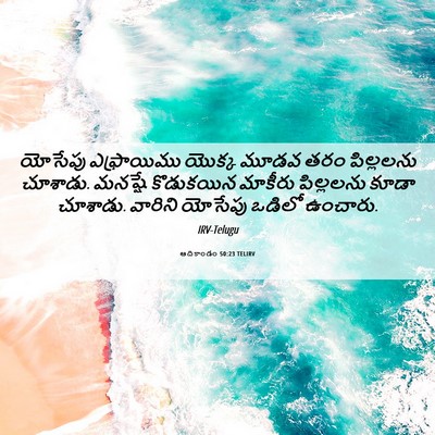 Picture 06 - ఆదికాండం 50:23 TELIRV - యోసేపు ఎఫ్రాయిము - Bible Verse Picture