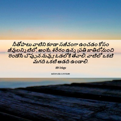 Picture 06 - ఆదికాండం 6:19 TELIRV - నీతోపాటు వాటిని - Bible Verse Picture