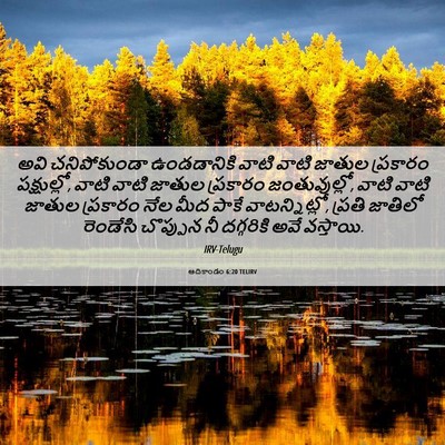 Picture 06 - ఆదికాండం 6:20 TELIRV - అవి చనిపోకుండా - Bible Verse Picture