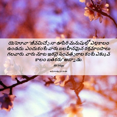 Picture 06 - ఆదికాండం 6:3 TELIRV - యెహోవా “జీవమిచ్చే - Bible Verse Picture