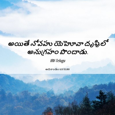 Picture 06 - ఆదికాండం 6:8 TELIRV - అయితే నోవహు - Bible Verse Picture