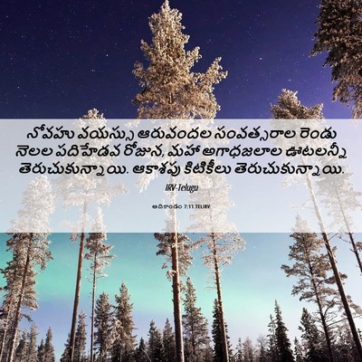 Picture 06 - ఆదికాండం 7:11 TELIRV - నోవహు వయస్సు - Bible Verse Picture