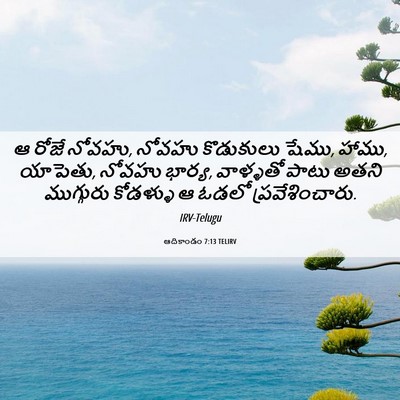 Picture 06 - ఆదికాండం 7:13 TELIRV - ఆ రోజే నోవహు, నోవహు - Bible Verse Picture