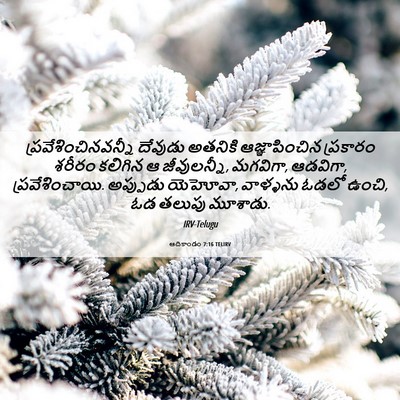Picture 06 - ఆదికాండం 7:16 TELIRV - ప్రవేశించినవన్నీ - Bible Verse Picture