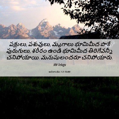 Picture 06 - ఆదికాండం 7:21 TELIRV - పక్షులు, పశువులు, - Bible Verse Picture