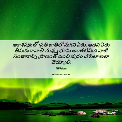 Picture 06 - ఆదికాండం 7:3 TELIRV - ఆకాశపక్షుల్లో - Bible Verse Picture