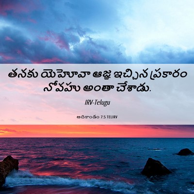 Picture 06 - ఆదికాండం 7:5 TELIRV - తనకు యెహోవా ఆజ్ఞ - Bible Verse Picture