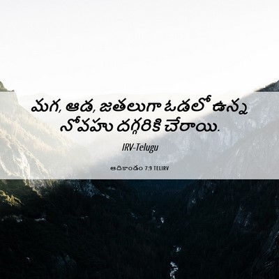 Picture 06 - ఆదికాండం 7:9 TELIRV - మగ, ఆడ, జతలుగా ఓడలో - Bible Verse Picture