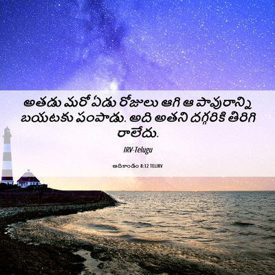 Picture 06 - ఆదికాండం 8:12 TELIRV - అతడు మరో ఏడు - Bible Verse Picture