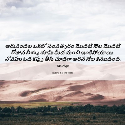 Picture 06 - ఆదికాండం 8:13 TELIRV - ఆరువందల ఒకటో - Bible Verse Picture