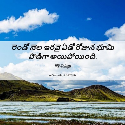 Picture 06 - ఆదికాండం 8:14 TELIRV - రెండో నెల ఇరవై ఏడో - Bible Verse Picture