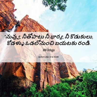 Picture 06 - ఆదికాండం 8:16 TELIRV - “నువ్వు, నీతోపాటు - Bible Verse Picture