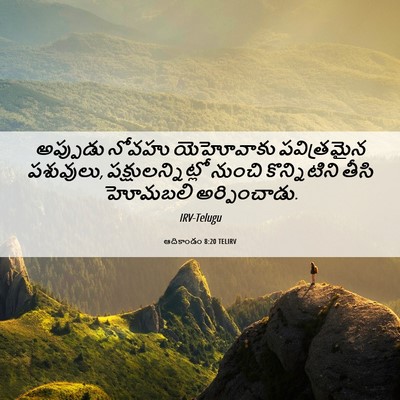 Picture 06 - ఆదికాండం 8:20 TELIRV - అప్పుడు నోవహు - Bible Verse Picture