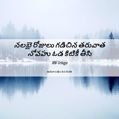 Picture 06 - ఆదికాండం 8:6 TELIRV - నలభై రోజులు - Bible Verse Picture