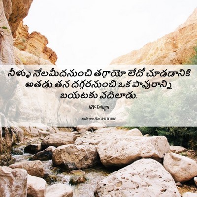 Picture 06 - ఆదికాండం 8:8 TELIRV - నీళ్ళు - Bible Verse Picture