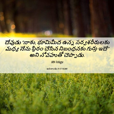 Picture 06 - ఆదికాండం 9:17 TELIRV - దేవుడు “నాకు, - Bible Verse Picture