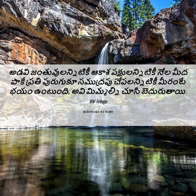 Picture 06 - ఆదికాండం 9:2 TELIRV - అడవి - Bible Verse Picture