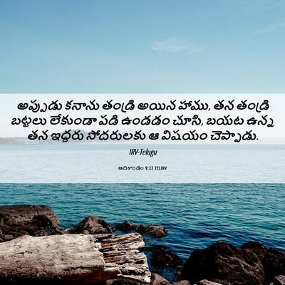 Picture 06 - ఆదికాండం 9:22 TELIRV - అప్పుడు కనాను - Bible Verse Picture