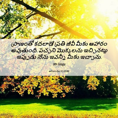 Picture 06 - ఆదికాండం 9:3 TELIRV - ప్రాణంతో కదలాడే - Bible Verse Picture