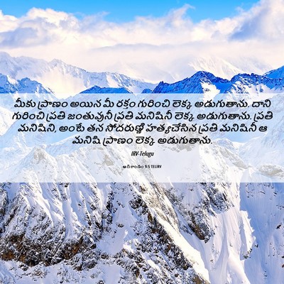 Picture 06 - ఆదికాండం 9:5 TELIRV - మీకు ప్రాణం అయిన - Bible Verse Picture