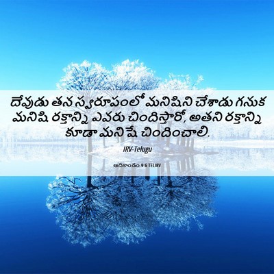 Picture 06 - ఆదికాండం 9:6 TELIRV - దేవుడు తన - Bible Verse Picture