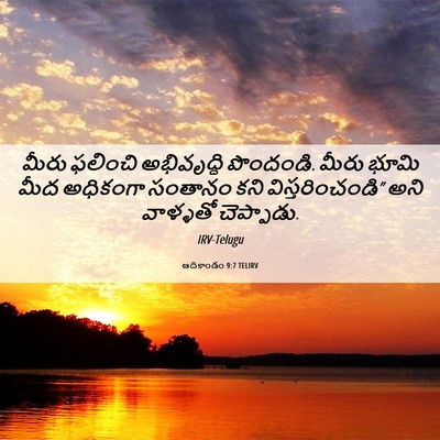 Picture 06 - ఆదికాండం 9:7 TELIRV - మీరు ఫలించి - Bible Verse Picture