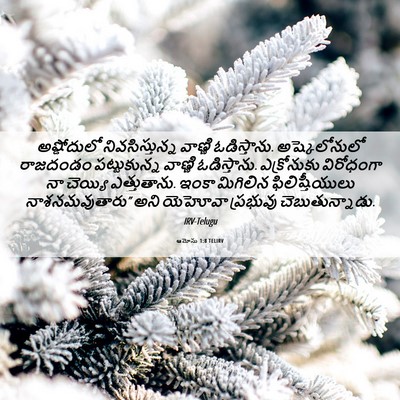 Picture 06 - ఆమోసు 1:8 TELIRV - అష్డోదులో - Bible Verse Picture