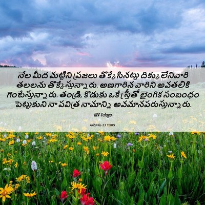 Picture 06 - ఆమోసు 2:7 TELIRV - నేల మీద మట్టిని - Bible Verse Picture