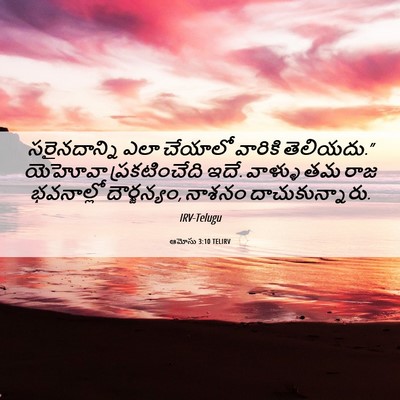 Picture 06 - ఆమోసు 3:10 TELIRV - సరైనదాన్ని ఎలా - Bible Verse Picture