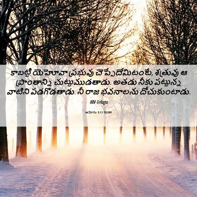 Picture 06 - ఆమోసు 3:11 TELIRV - కాబట్టి యెహోవా - Bible Verse Picture
