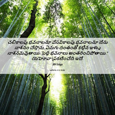 Picture 06 - ఆమోసు 3:15 TELIRV - చలికాలపు భవనాలనూ - Bible Verse Picture