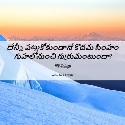 Picture 06 - ఆమోసు 3:4 TELIRV - దేన్నీ - Bible Verse Picture