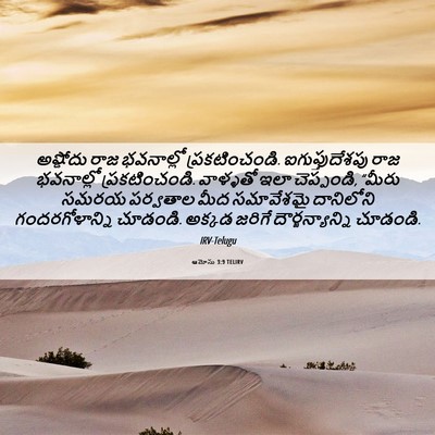 Picture 06 - ఆమోసు 3:9 TELIRV - అష్డోదు రాజ - Bible Verse Picture