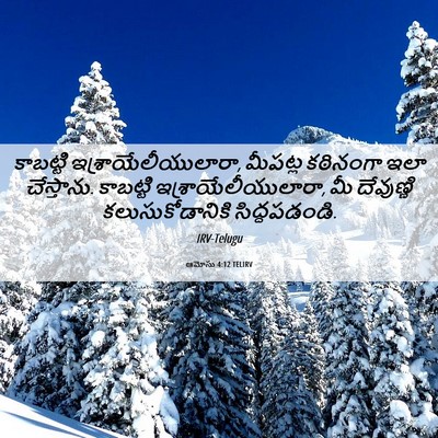 Picture 06 - ఆమోసు 4:12 TELIRV - కాబట్టి - Bible Verse Picture