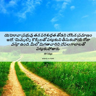 Picture 06 - ఆమోసు 4:2 TELIRV - యెహోవా ప్రభువు తన - Bible Verse Picture