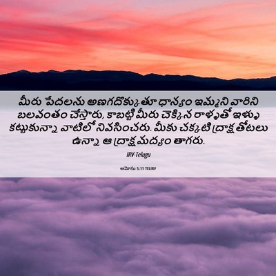 Picture 06 - ఆమోసు 5:11 TELIRV - మీరు పేదలను - Bible Verse Picture