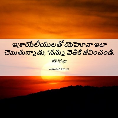 Picture 06 - ఆమోసు 5:4 TELIRV - ఇశ్రాయేలీయులతో - Bible Verse Picture