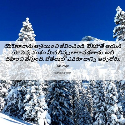 Picture 06 - ఆమోసు 5:6 TELIRV - యెహోవాను - Bible Verse Picture