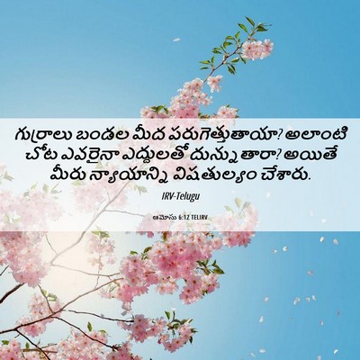 Picture 06 - ఆమోసు 6:12 TELIRV - గుర్రాలు బండల మీద - Bible Verse Picture