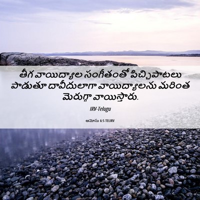 Picture 06 - ఆమోసు 6:5 TELIRV - తీగ వాయిద్యాల - Bible Verse Picture