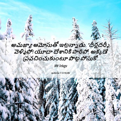 Picture 06 - ఆమోసు 7:12 TELIRV - అమజ్యా ఆమోసుతో - Bible Verse Picture