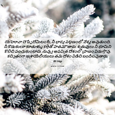 Picture 06 - ఆమోసు 7:17 TELIRV - యెహోవా - Bible Verse Picture