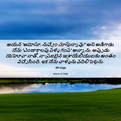 Picture 06 - ఆమోసు 8:2 TELIRV - ఆయన “ఆమోసూ, - Bible Verse Picture