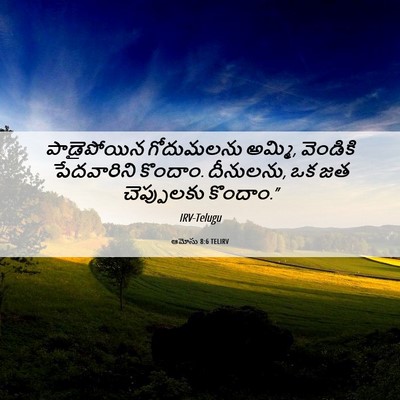 Picture 06 - ఆమోసు 8:6 TELIRV - పాడైపోయిన - Bible Verse Picture