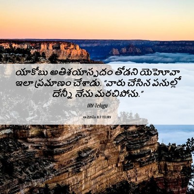 Picture 06 - ఆమోసు 8:7 TELIRV - యాకోబు - Bible Verse Picture